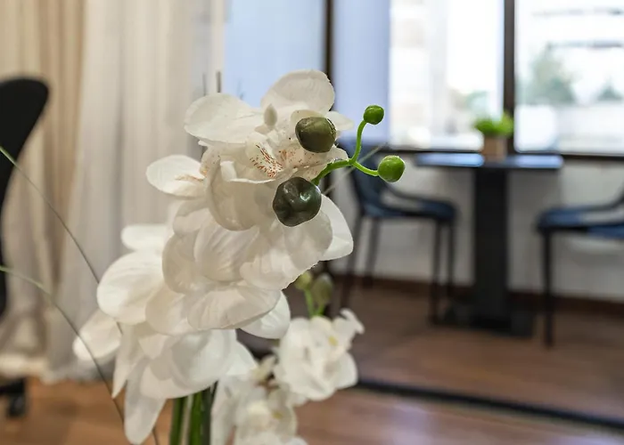 Zizas House * Portimao